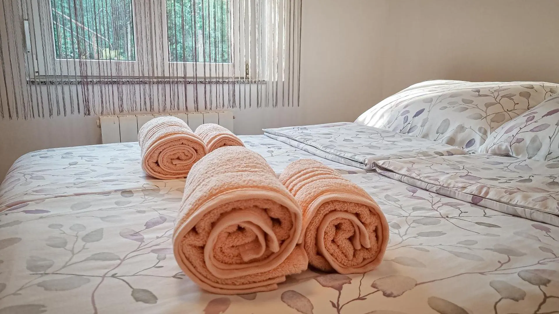 Apartment Predrag Skrbcici